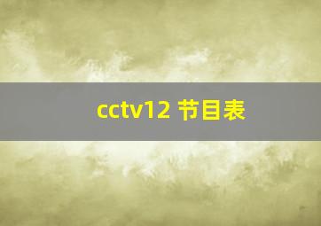 cctv12 节目表